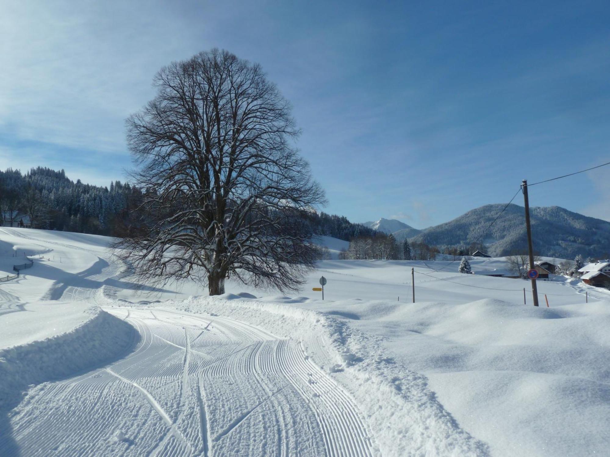 Ferienwohnung Panorama บัดโคลกรุบ ภายนอก รูปภาพ